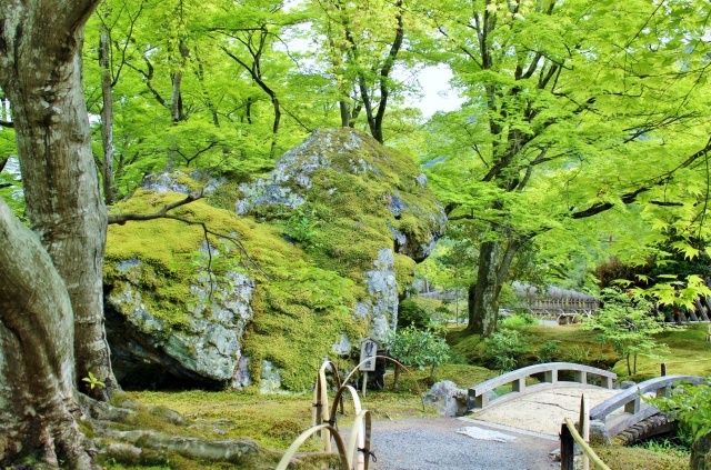 庭